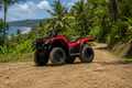 Honda TRX 420cc 4x4